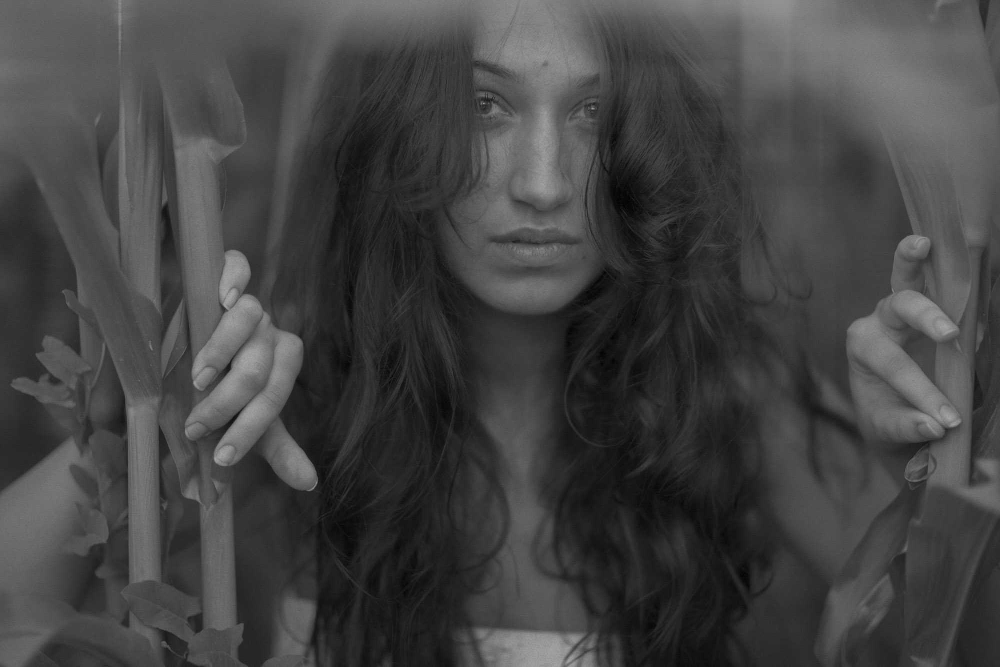 Martyna III
